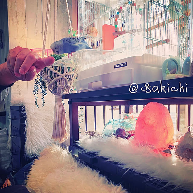 SAKICHIさんの実例写真