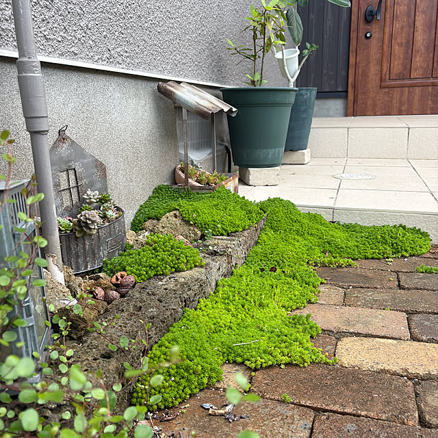 yunroomさんの部屋