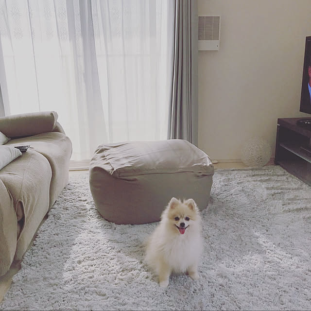 runrunさんの実例写真