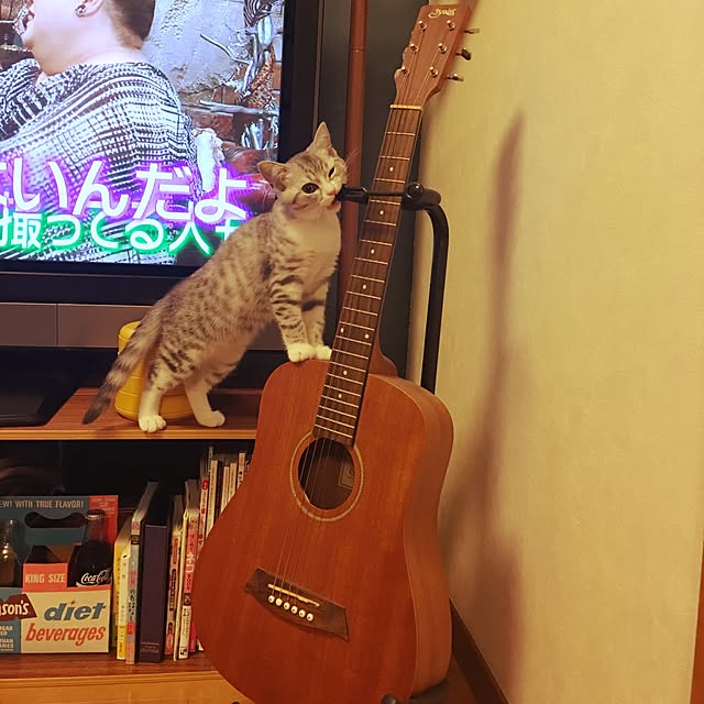 Shojiさんの実例写真