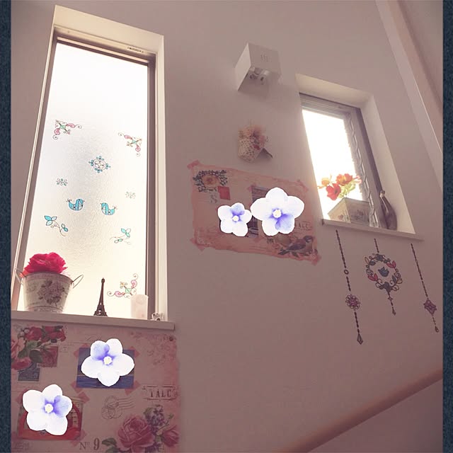 mikiさんの実例写真