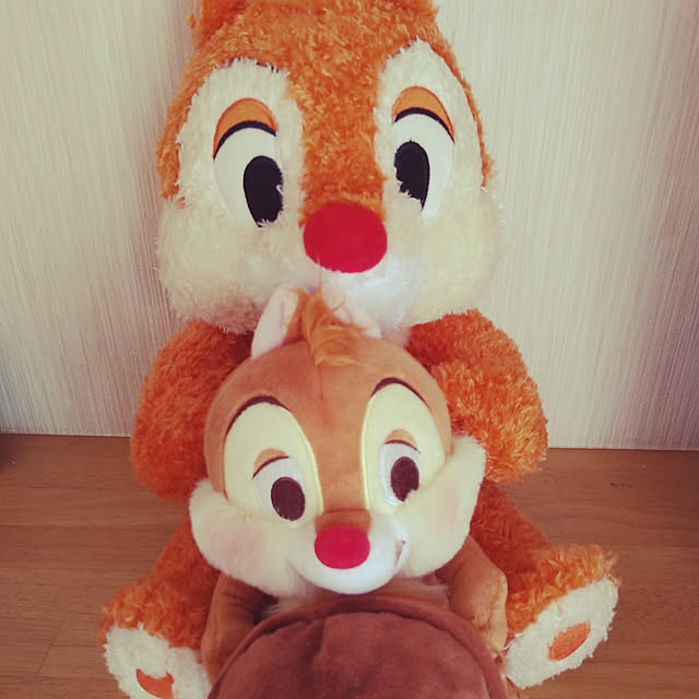 arielarielさんの実例写真