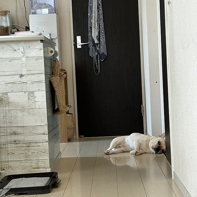 haruharu3さんの部屋