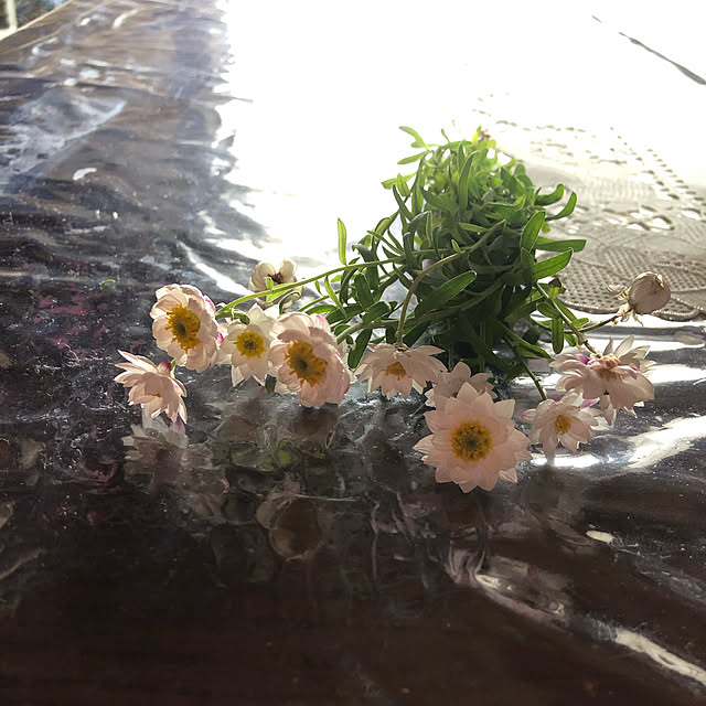 Nanohaさんの実例写真