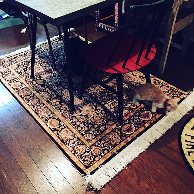 Naoki.さんの実例写真
