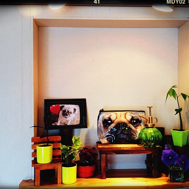 棚/雑貨/照明/観葉植物/ペット...などのインテリア実例 - 2014-03-12 15:41:19