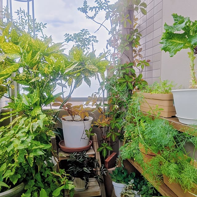 YuriYuriさんの部屋