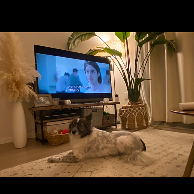 nanccccyさんの実例写真