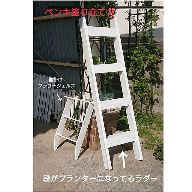Toraziさんの実例写真