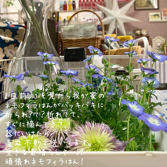mo-nosukeさんの実例写真