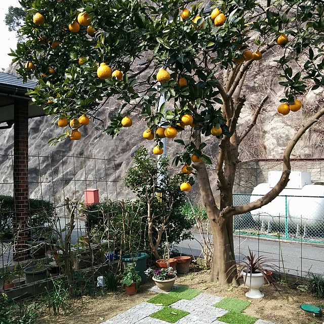 hiroさんの実例写真
