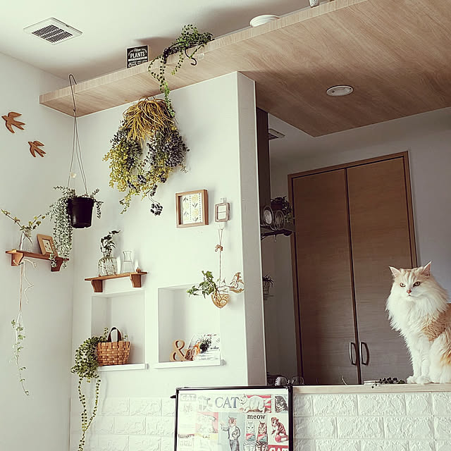 megu.catさんの実例写真