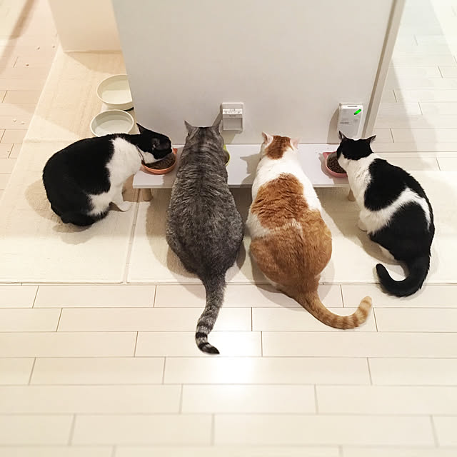 bikkeさんの実例写真