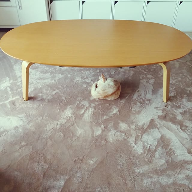 Satoさんの実例写真