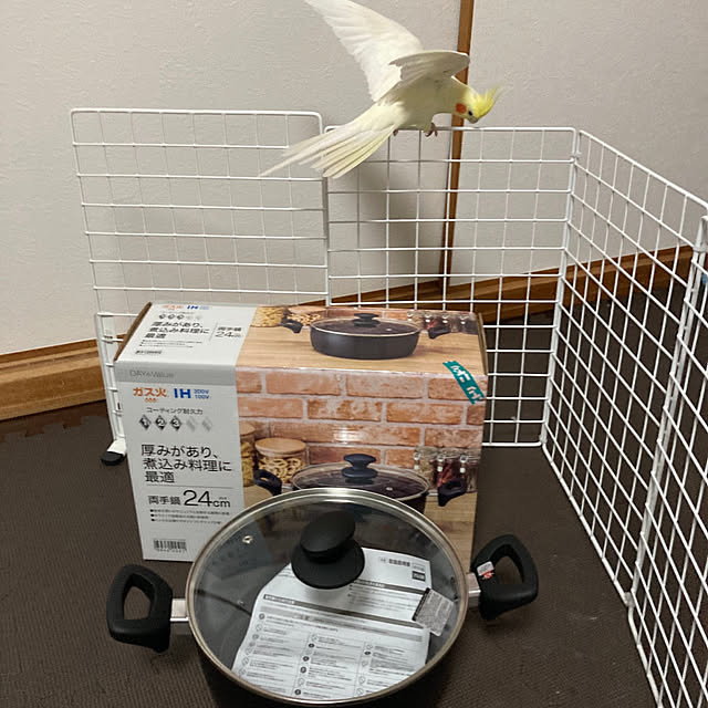 toratanさんの部屋