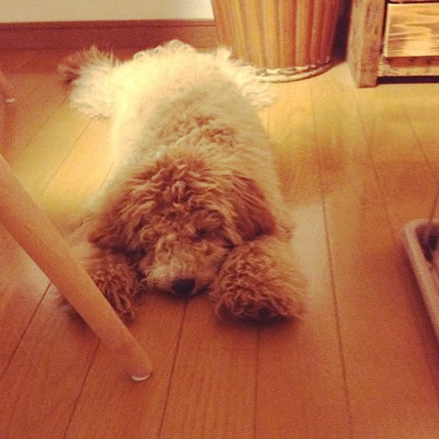 nao.0031さんの実例写真
