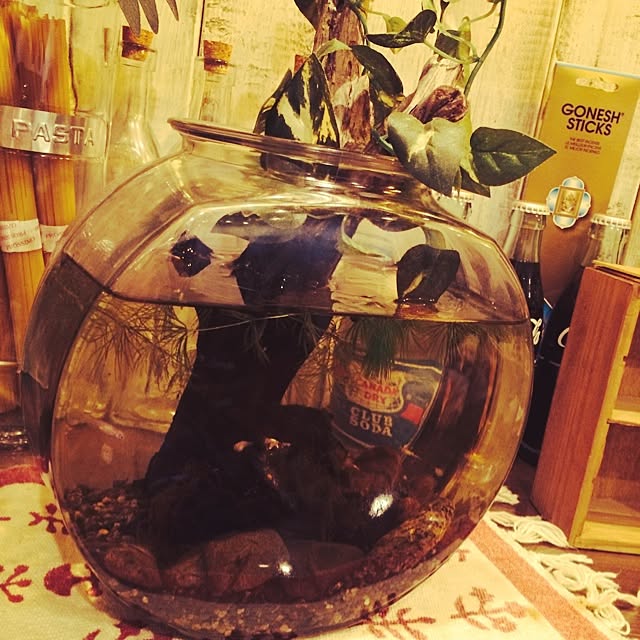 実例写真