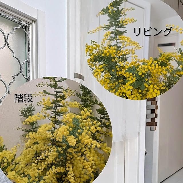 fumitanさんの部屋