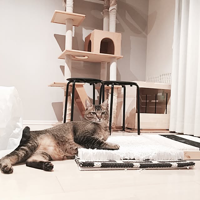 Reikoさんの実例写真