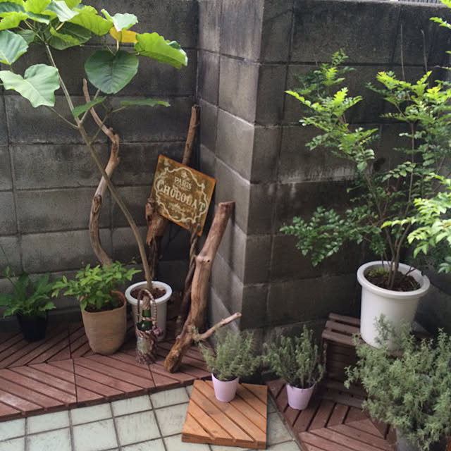 実例写真