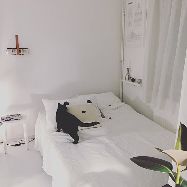 awachan77さんの実例写真