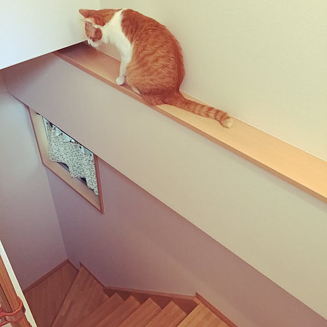 makiさんの実例写真