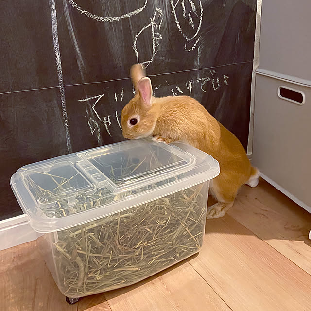 pomupomuさんの実例写真