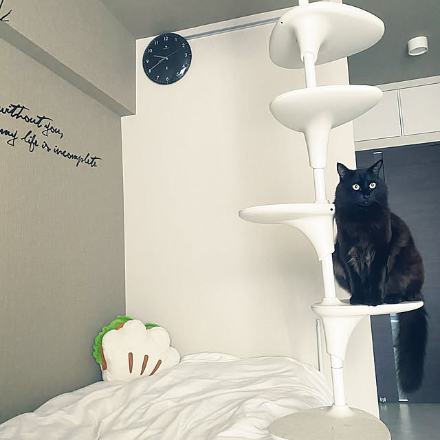 akihcclipさんの実例写真