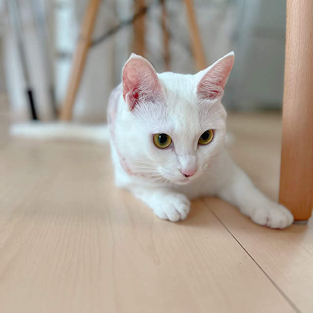 Miyu_さんの部屋