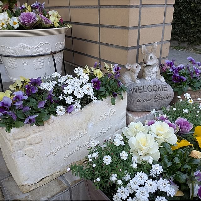 ku-garnet18さんの部屋