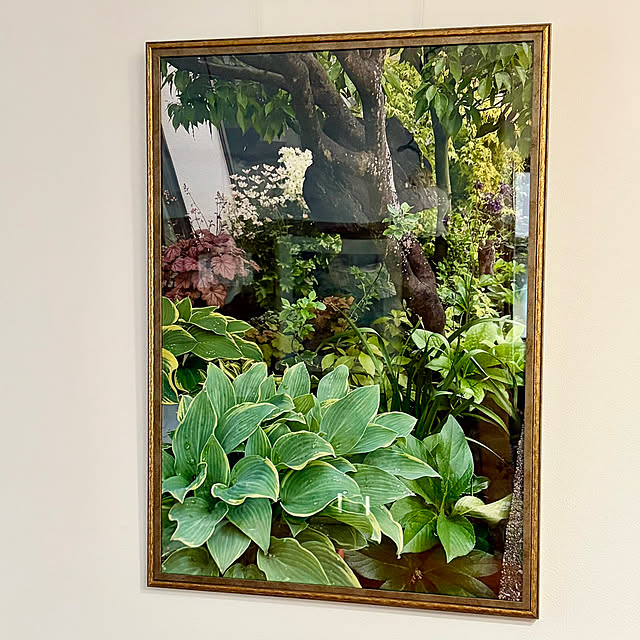 buchiさんの部屋