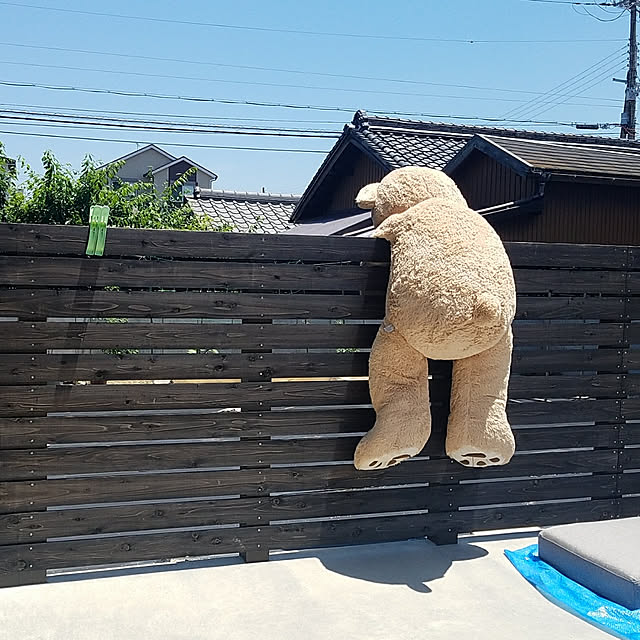 玄関/入り口のインテリア実例 - 2018-06-13 20:55:09