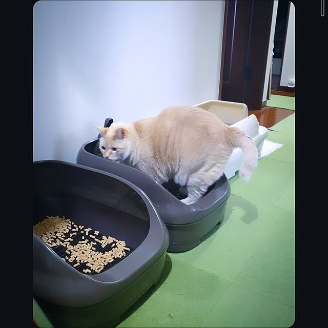 mntcさんの実例写真