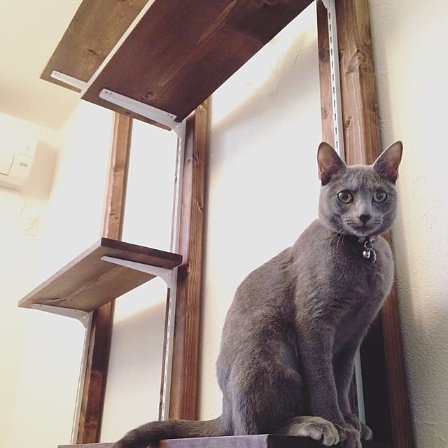 capelさんの実例写真
