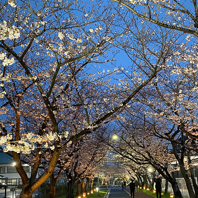実例写真