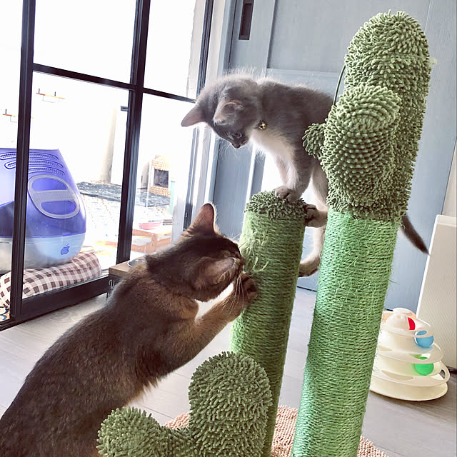paradise_viewさんの実例写真