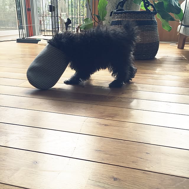kuuさんの実例写真