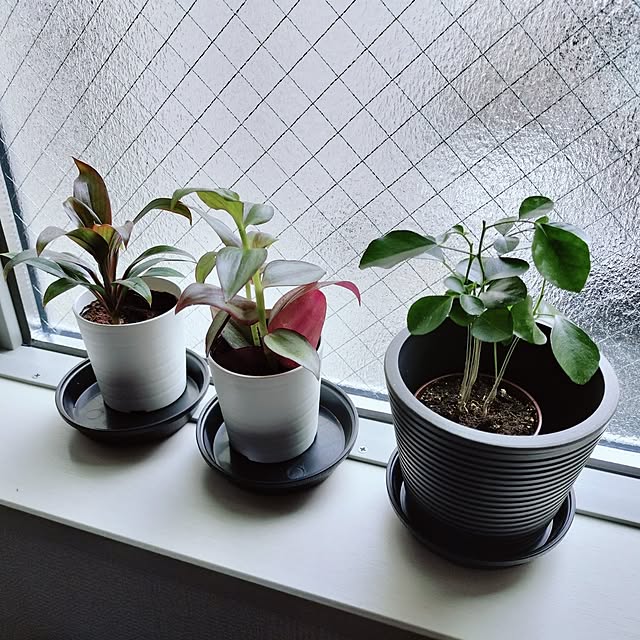 tamaさんの部屋