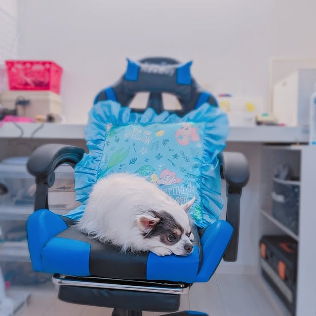 bjhorusさんの部屋
