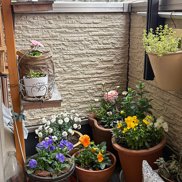 Toyomiさんの実例写真