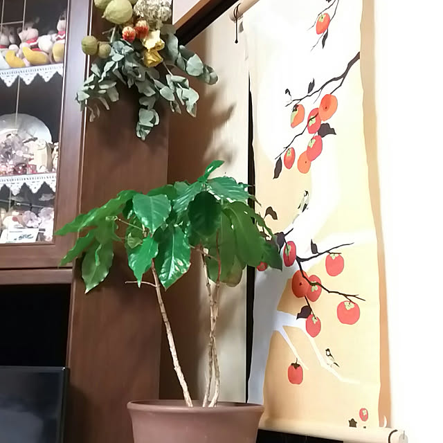 chiikokunさんの実例写真
