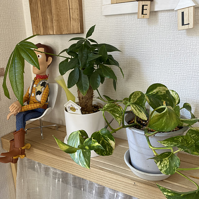 R.S.Kさんの実例写真