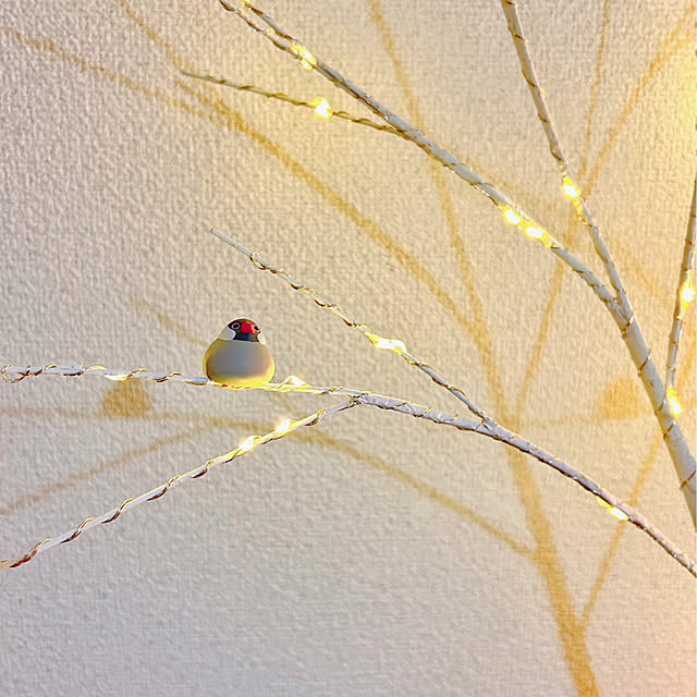 yucca.さんの部屋