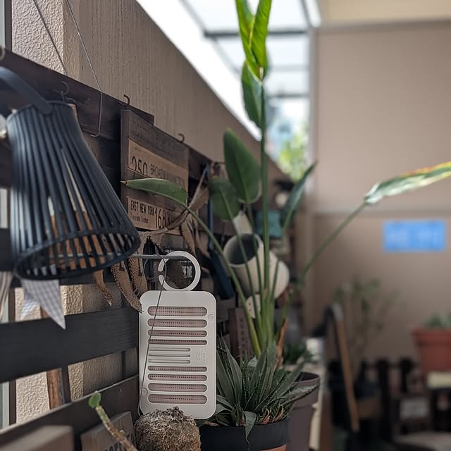 lovepeaceさんの実例写真