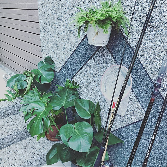 ydsekimo0104さんの実例写真