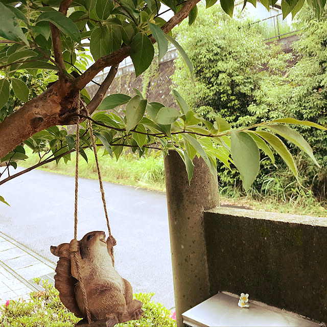 Caoluさんの実例写真