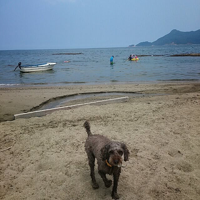 COLeCoさんの実例写真