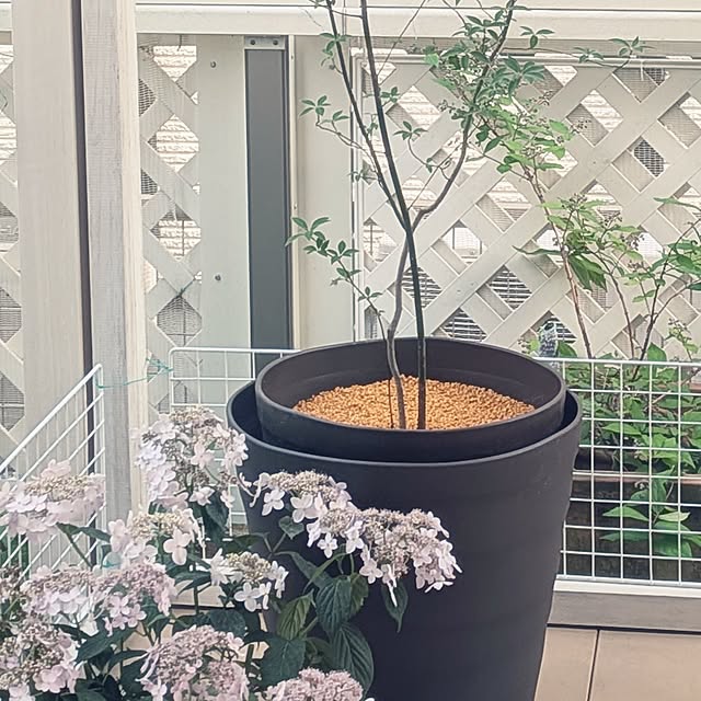 Bienvenueさんの部屋