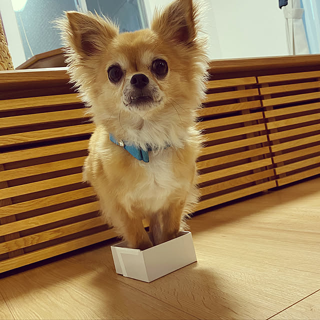 hananokaoriさんの実例写真