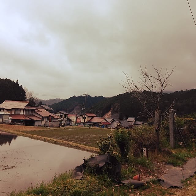 shindyさんの実例写真